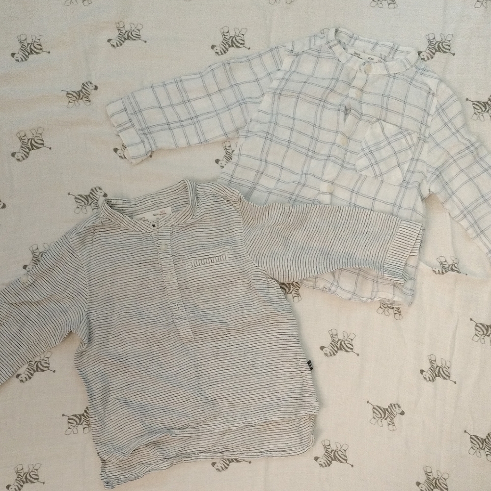 Zara White and Blue Button Down Shirt